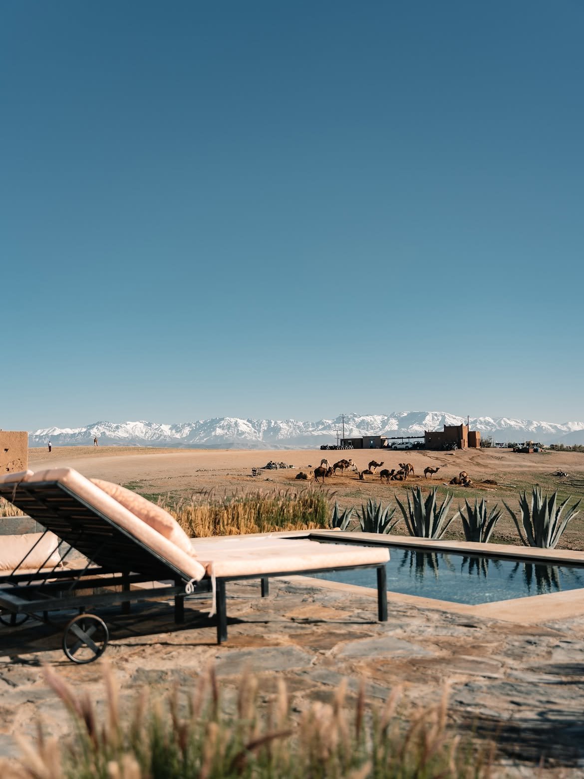 White Camel Lodges & Tents - Day Pass Agafay