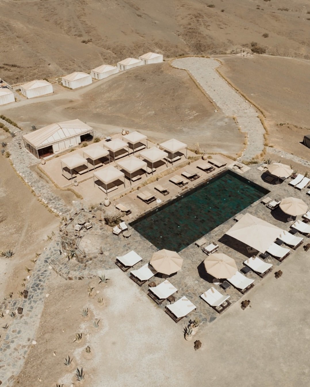 White Camel - Vue secondaire 3