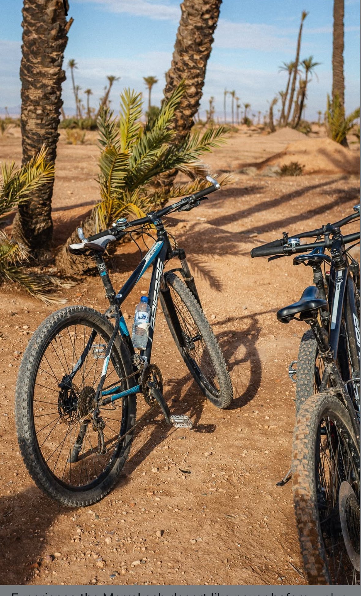 Balade à vélo Palmeraie 3