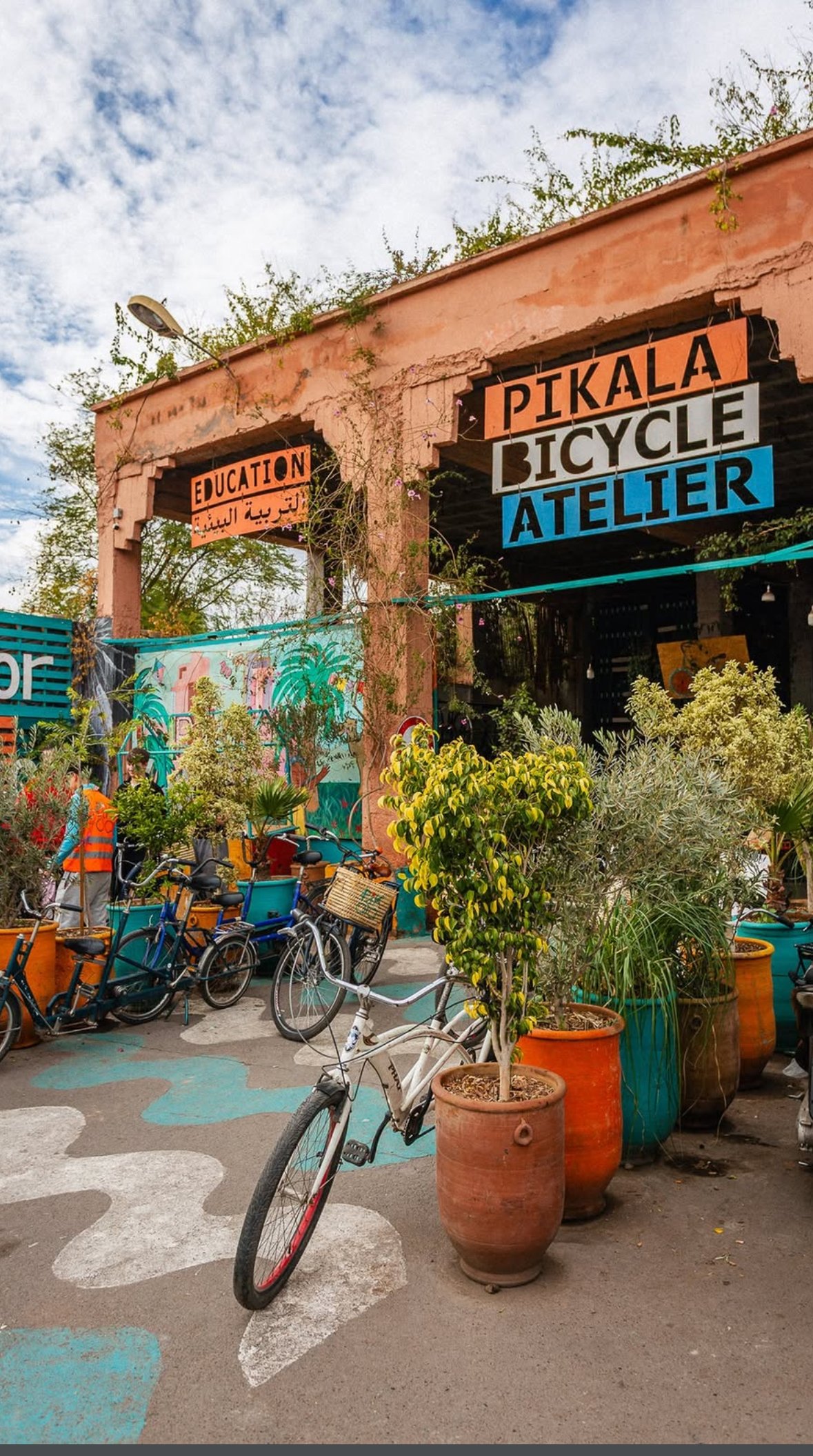 Balade à vélo Palmeraie 4