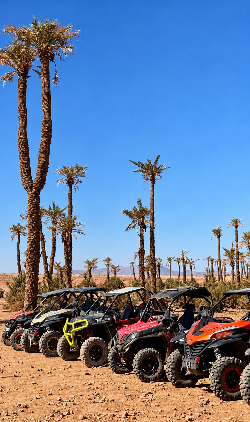 Buggy piste sablonneuse Palmeraie