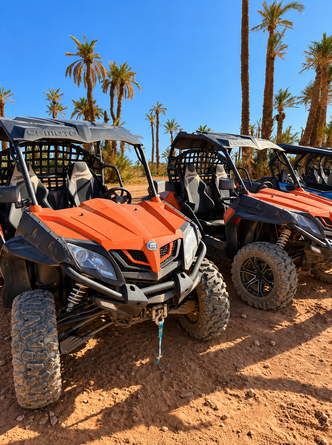 Buggy Palmeraie