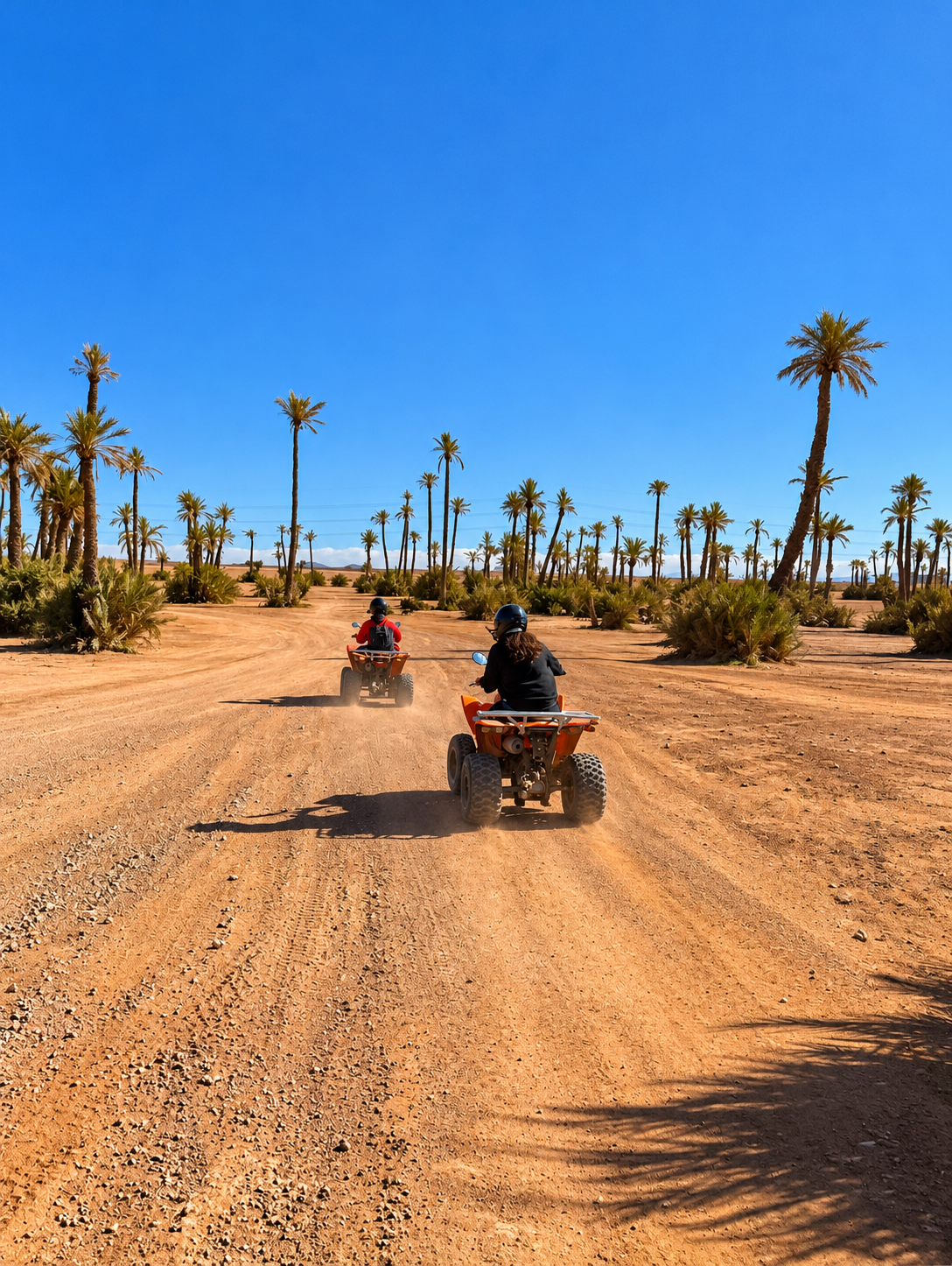 Quad Palmeraie